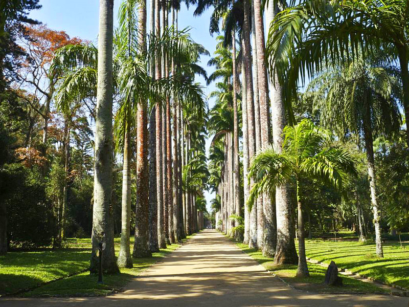 Jardim Botânico do Rio vai investir R$ 880 mil na ampliação e digitalização do seu acervo botânico